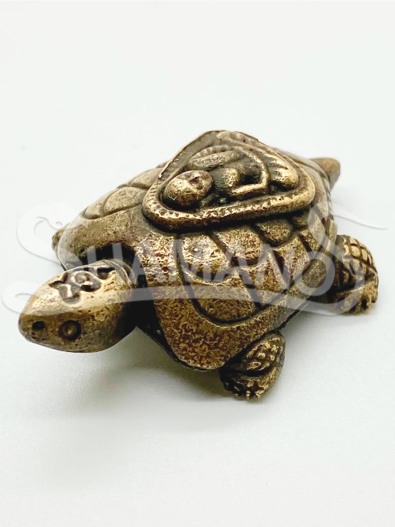 Amuleto PORTAFORTUNA e PROTEZIONE - TARTARUGA 5 YANT con PHA YANT 🐢
