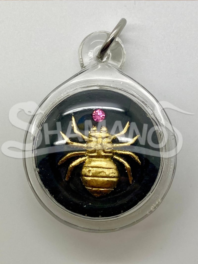Talismano per ATTIRARE SOLDI, PROSPERITA' e SUCCESSO - IL RAGNO DELLA FORTUNA 🕷️