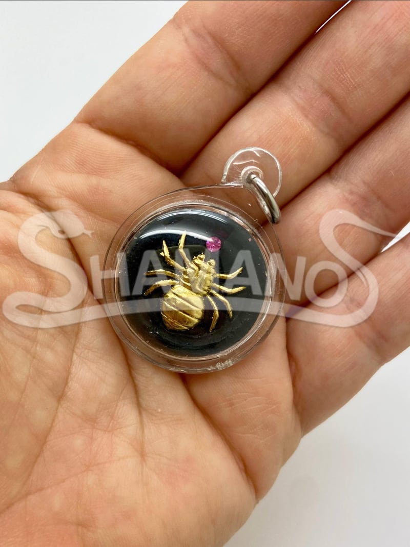Talismano per ATTIRARE SOLDI, PROSPERITA' e SUCCESSO - IL RAGNO DELLA FORTUNA 🕷️