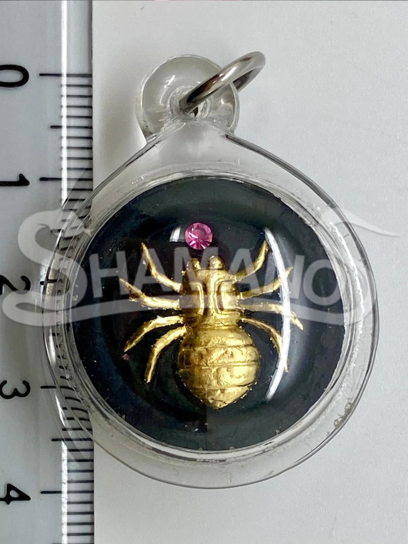 Talismano per ATTIRARE SOLDI, PROSPERITA' e SUCCESSO - IL RAGNO DELLA FORTUNA 🕷️