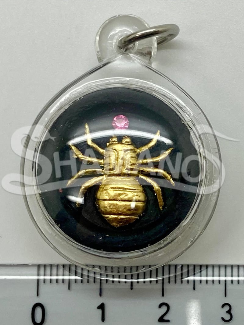Talismano per ATTIRARE SOLDI, PROSPERITA' e SUCCESSO - IL RAGNO DELLA FORTUNA 🕷️