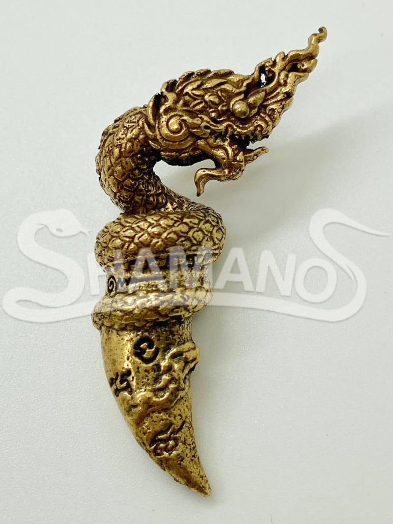 Amuleto PROTETTIVO - L'ARTIGLIO DEL NAGA