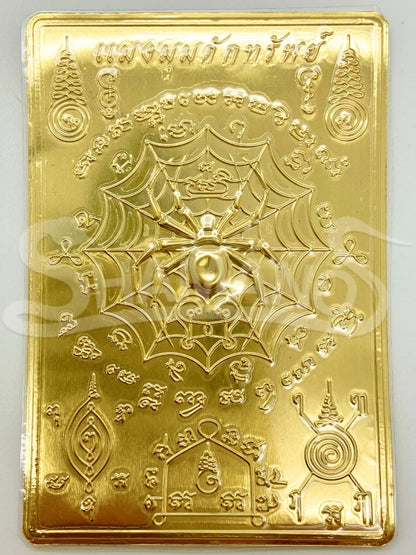 PIASTRA DEL RAGNO per ATTIRARE SOLDI, VINCITE e RICCHEZZA