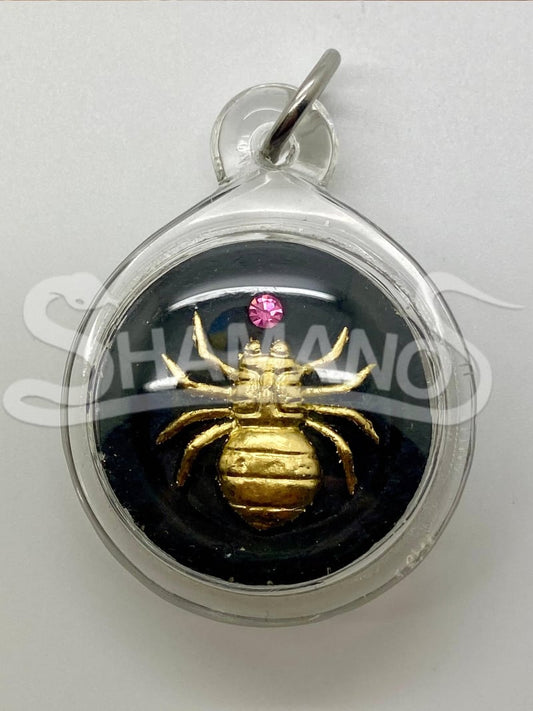 Talismano per ATTIRARE SOLDI, PROSPERITA' e SUCCESSO - IL RAGNO DELLA FORTUNA 🕷️